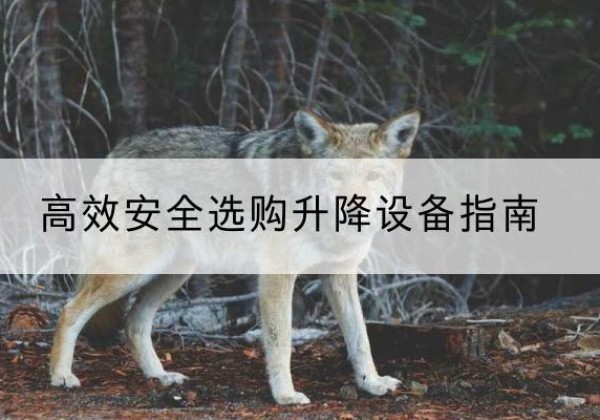 河口升降货梯厂家推荐-*安全选购升降设备指南