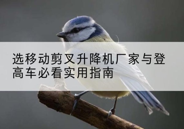 河口电动升降机厂家-选移动剪叉升降机厂家与登高车必看实用指南